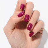 Merlot Magic UV - The Maison Aurora CH