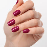 Merlot Magic UV - The Maison Aurora CH