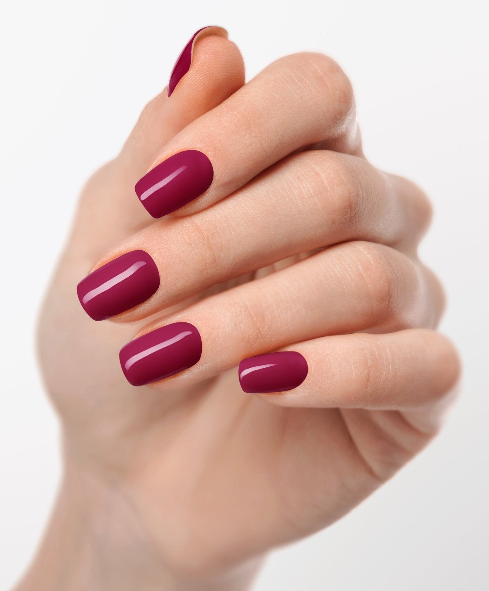 Merlot Magic UV - The Maison Aurora CH