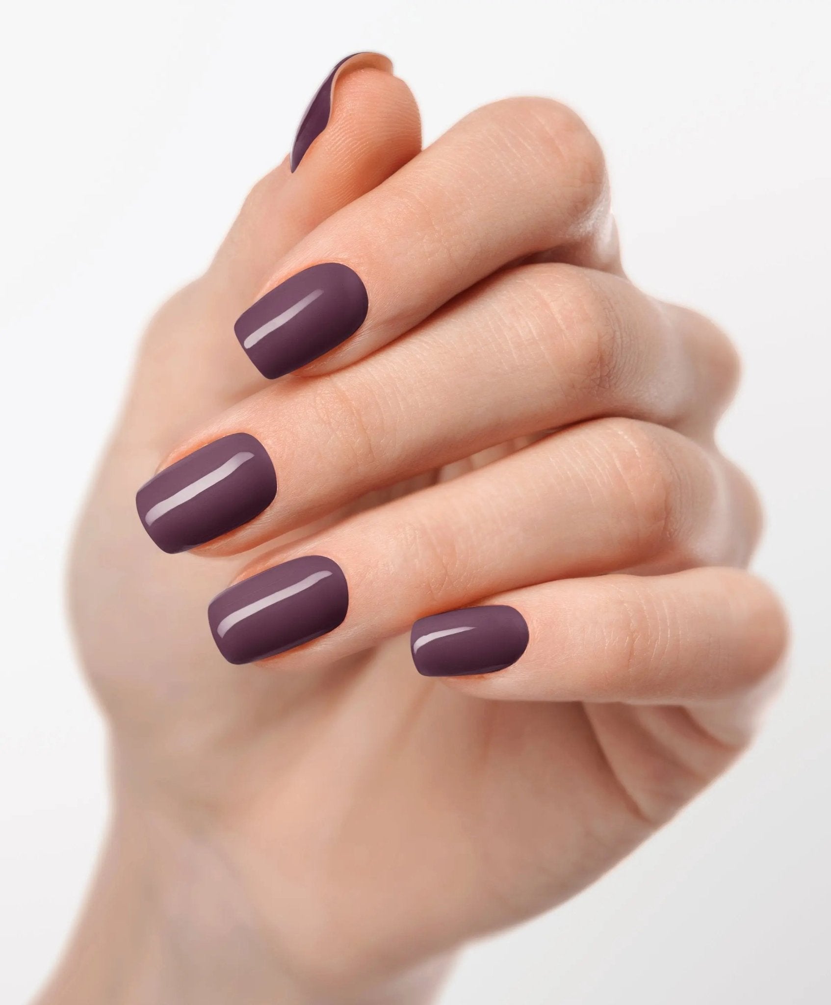 Midnight Merlot UV - The Maison Aurora CH