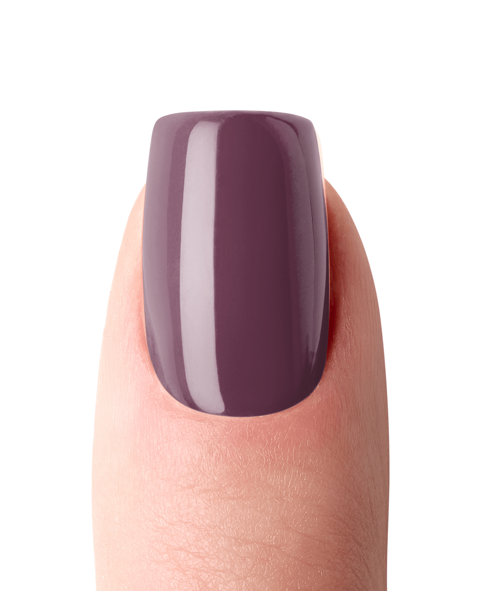 Midnight Merlot UV - The Maison Aurora CH