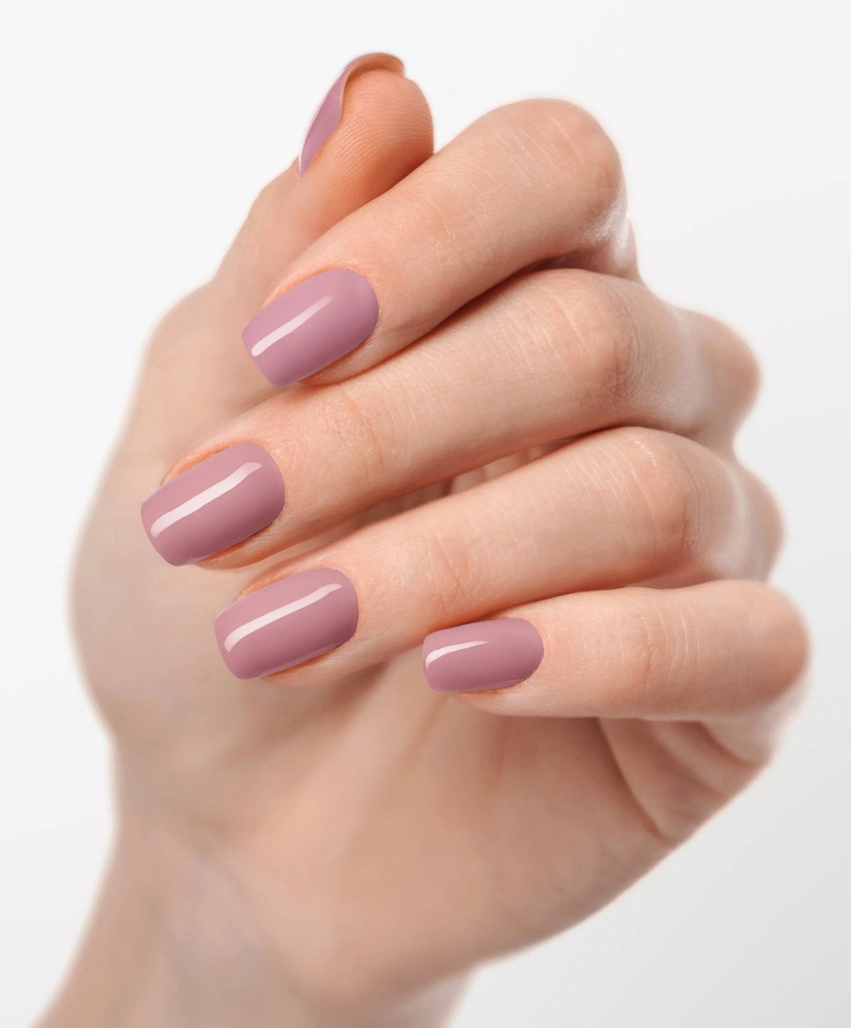 Pastel Paradise UV - The Maison Aurora CH