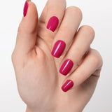 Raspberry Rhapsody UV - The Maison Aurora CH