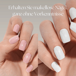 Starter Kit - The Maison Aurora CH