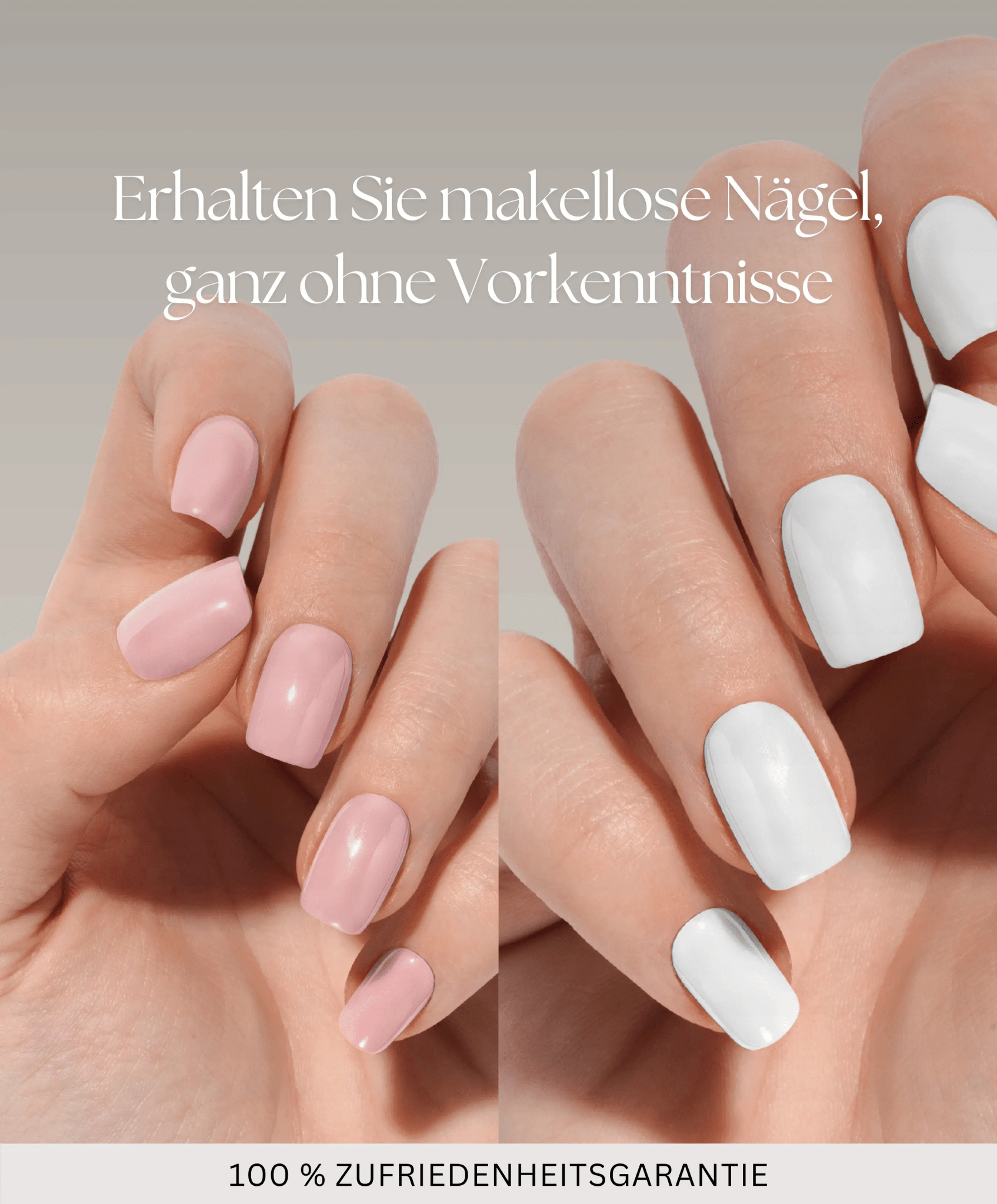 Starter Kit - The Maison Aurora CH