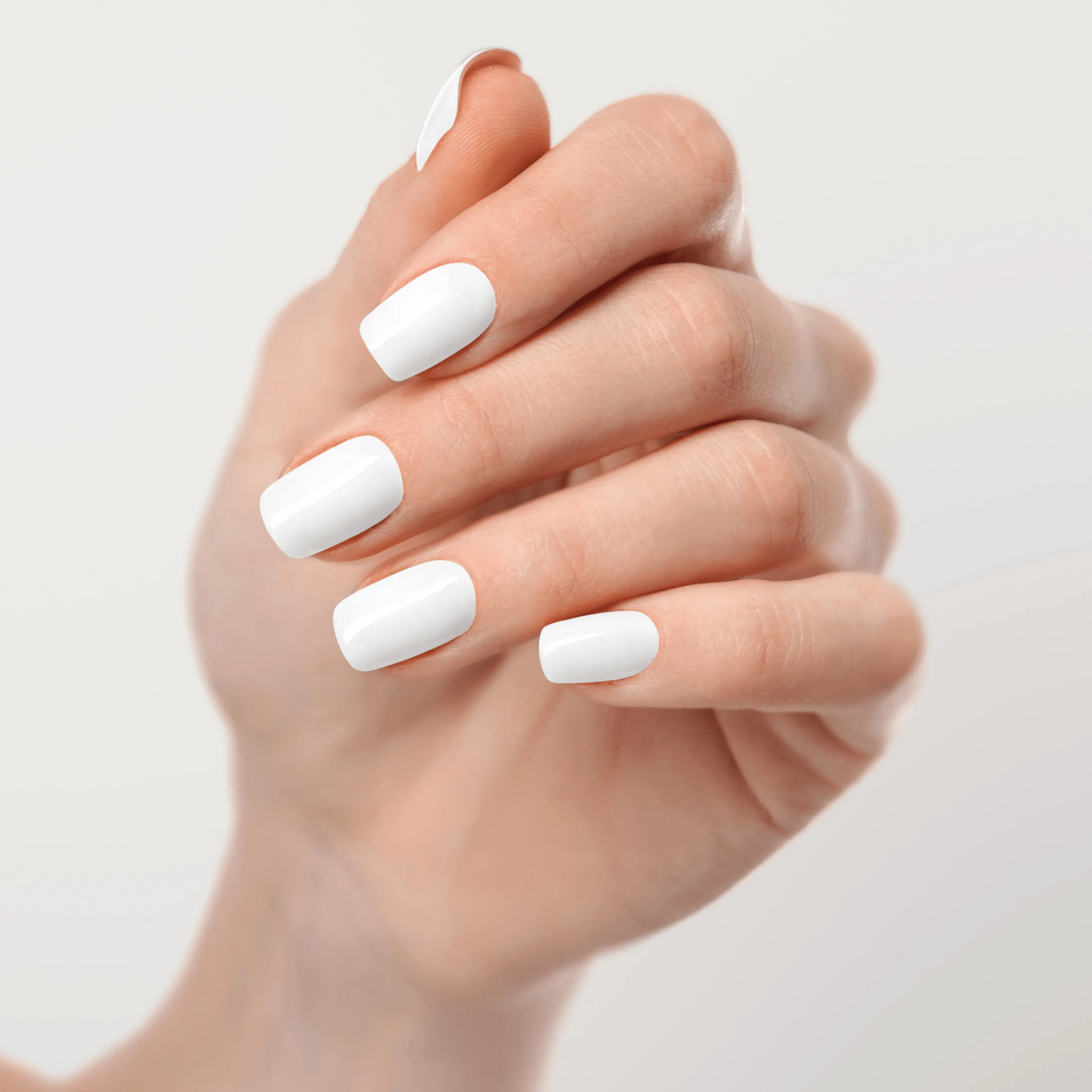 (208) Arctic Silk - The Maison Aurora CH