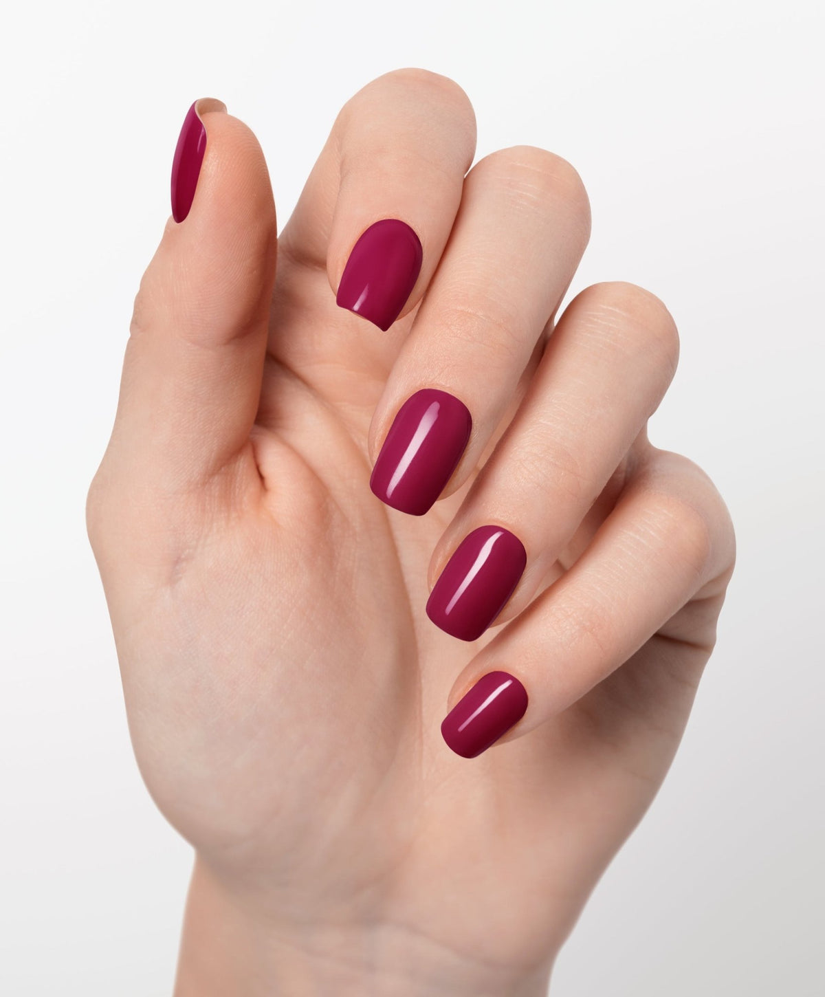 Merlot Magic UV - The Maison Aurora CH