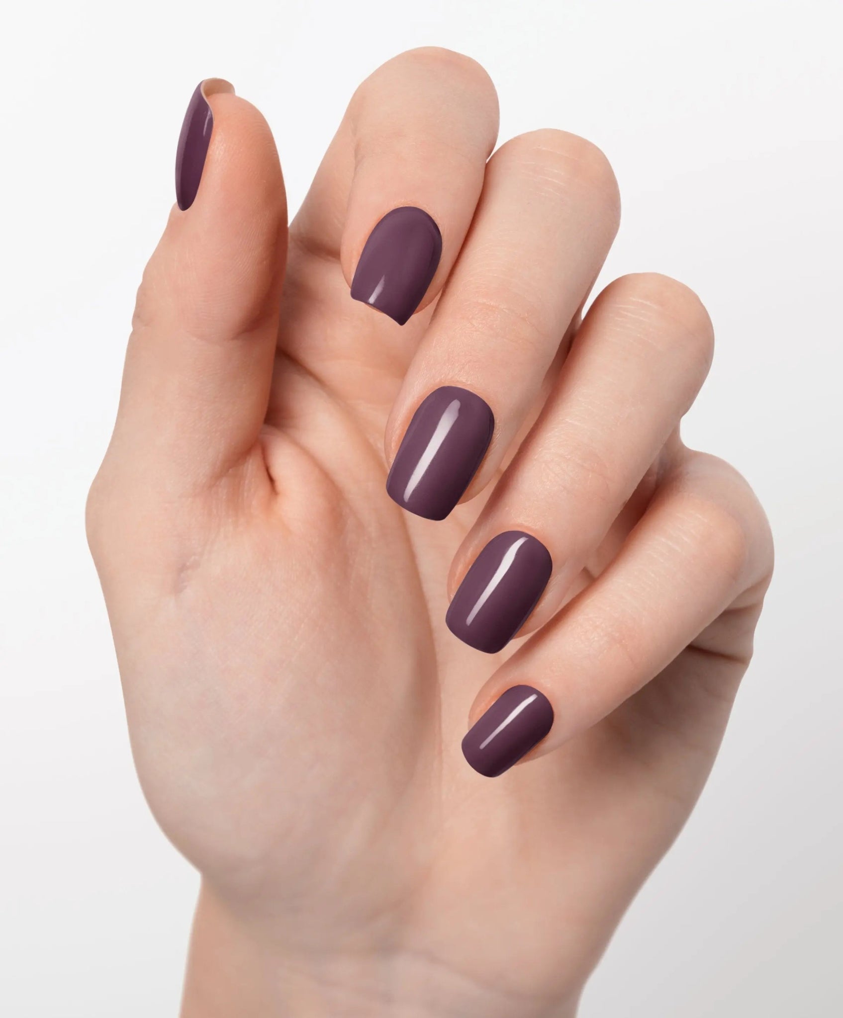 Midnight Merlot UV - The Maison Aurora CH