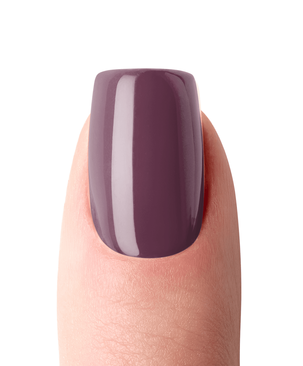 Mitternachts-Merlot UV 