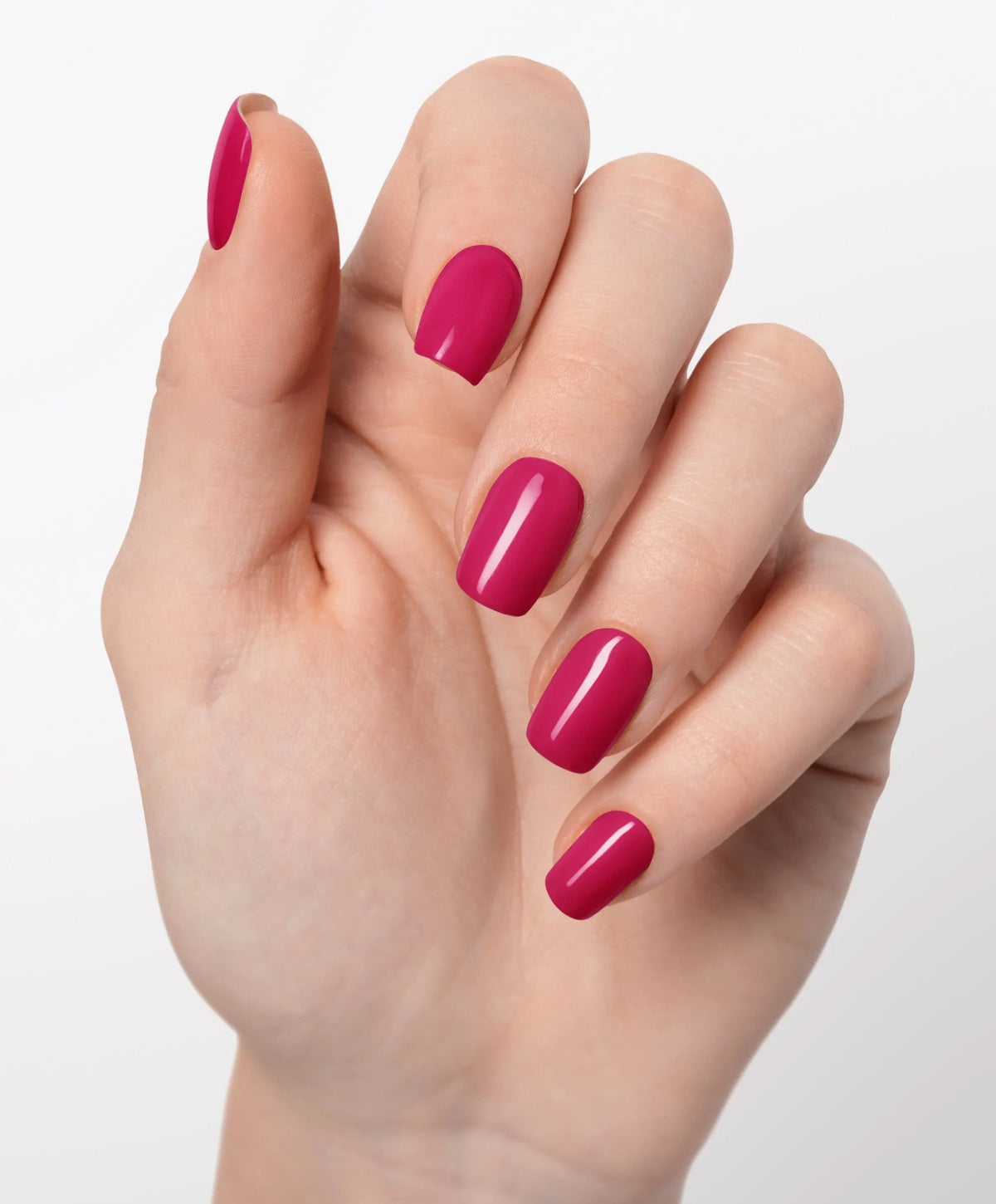 Raspberry Rhapsody UV - The Maison Aurora CH